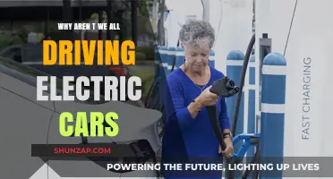 Why Aren't Electric Cars Dominating Our Roads Yet?