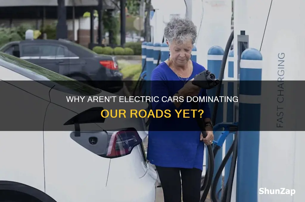 why aren t we all driving electric cars