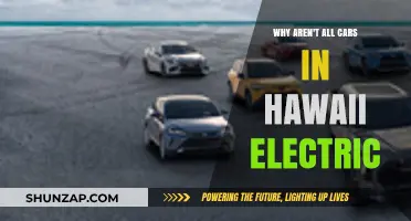 Hawaii's Electric Vehicle Gap: Challenges and Opportunities for a Greener Future