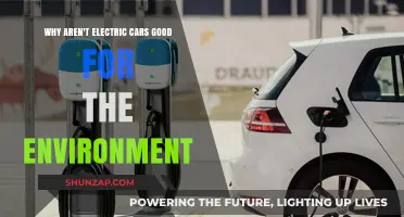 Electric Cars' Environmental Impact: Uncovering the Hidden Ecological Costs