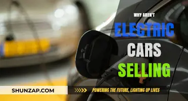 Why Electric Cars Struggle to Gain Traction in the Market