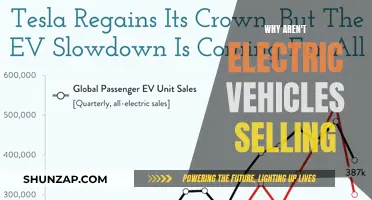 Electric Vehicles: Unlocking the Sales Mystery