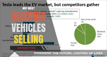 The Unsold Electric Vehicles: Why Aren't They Attracting Buyers?