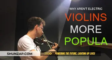 Electric Violins: Why Aren't They Popular?