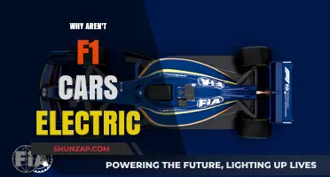 Why F1 Cars Remain Gas-Powered: Exploring the Electric Divide