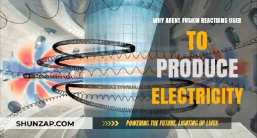 Why Fusion Reactions Remain Elusive for Electricity Generation