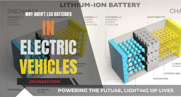 The Mystery of LCO Batteries in EVs: Unlocking the Secret