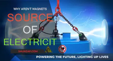 Magnets: Electricity's Friend or Foe?