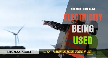 Barriers to Renewable Energy: Why Isn't Clean Power Dominating the Grid?