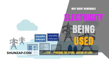 Why Renewable Electricity Isn't Dominating Our Power Grids Yet