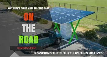 Why Electric Cars Remain Scarce: Barriers to Mass Adoption