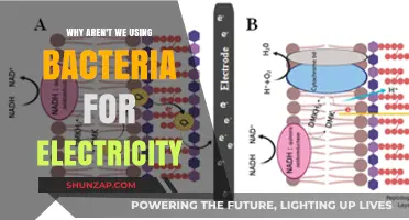 Unlocking Microbial Power: Why Bacteria Aren’t Powering Our World Yet