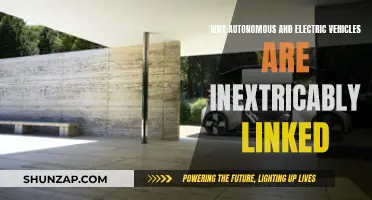 Autonomous Driving and Electric Vehicles: A Symbiotic Future