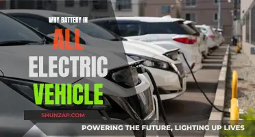 Electric Vehicle Batteries: Powering the Future of Transportation