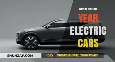Why 2023 Marks a Critical Year for Electric Cars