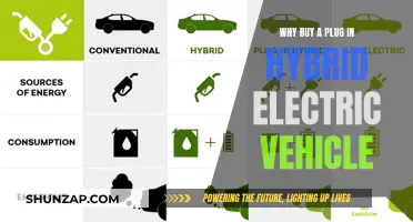 Why Plug-In Hybrids Are the Future of Driving