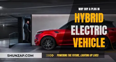 Plug-in Hybrid Electric Vehicles: The Smart Choice