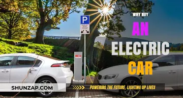 Why Electric Cars Are the Smarter, Greener Choice for Drivers