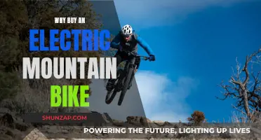 Electric Mountain Bikes: The Ultimate Adventure Upgrade