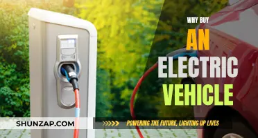 Go Green, Save Money: The Benefits of Electric Vehicles