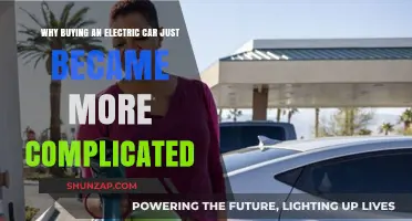 Electric Car Buying Dilemma: New Challenges Complicate the Decision