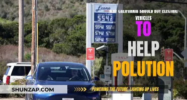 California's Green Revolution: Electric Vehicles for a Cleaner Future