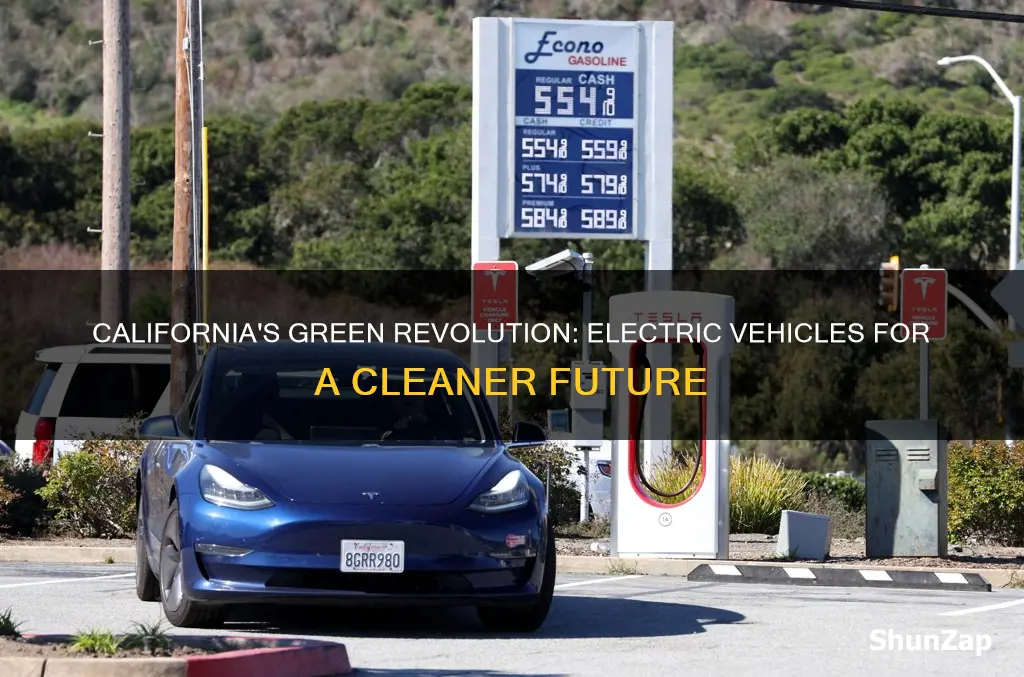 why california should buy electric vehicles to help polution