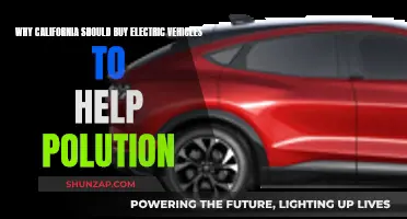 California's Electric Vehicle Revolution: Reducing Pollution