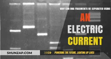 Electric Current's Role in Separating DNA Fragments: A Scientific Explanation
