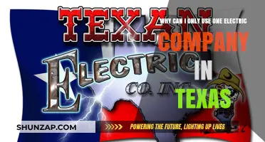 Why Texas Limits Residents to One Electric Company: Explained