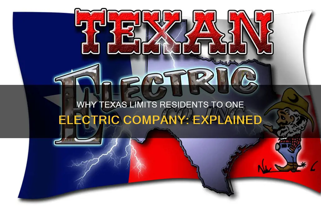 why can i only use one electric company in texas