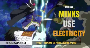 Minks' Electric Abilities: Unveiling Their Unique Power to Harness Electricity