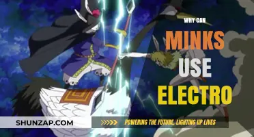 Why Minks Master Electro: Unlocking Their Unique Abilities