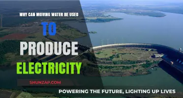 Harnessing the Power: How Moving Water Generates Electricity