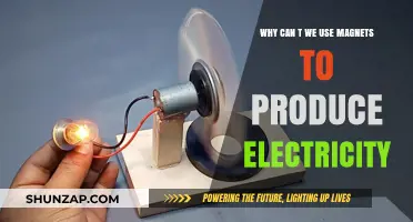 Magnets and Electricity: Why Direct Power Generation Isn't Possible