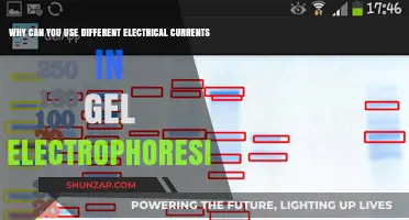 Exploring Electrical Currents in Gel Electrophoresis: Benefits of Versatility