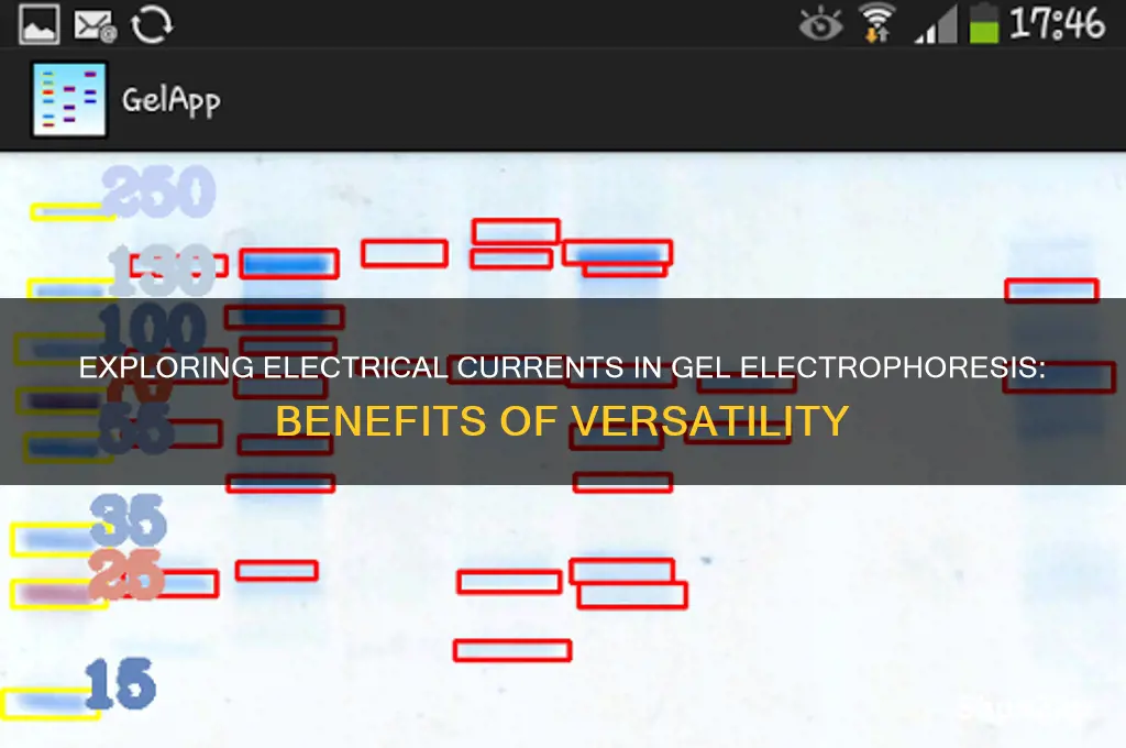 why can you use different electrical currents in gel electrophoresis