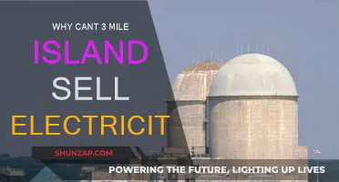 The 3 Mile Island's Electricity: Unsellable Power