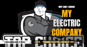 Electric Company Choice: A Consumer's Right or Utility's Prerogative?