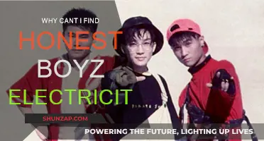 Where to Find Honest Boyz Electricity?