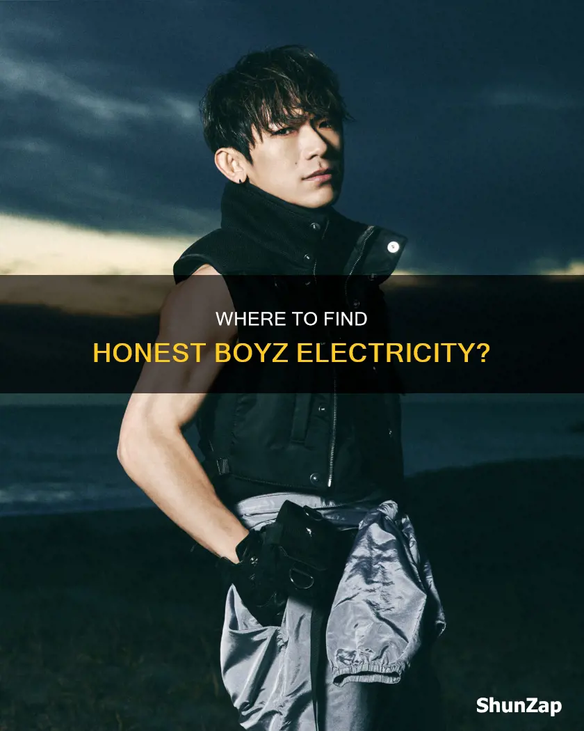 why cant i find honest boyz electricity