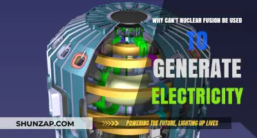 Why Nuclear Fusion Remains Elusive for Electricity Generation