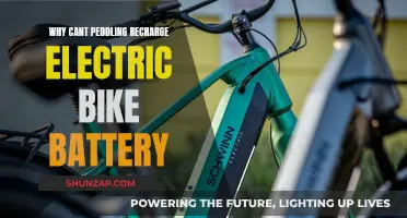 Pedaling Electric Bikes: Why Can't We Recharge the Batteries?