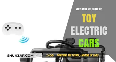 Scaling Challenges: Why Toy Electric Cars Can't Go Mainstream Yet
