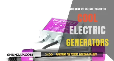 Saltwater Cooling for Electric Generators: Why It's Not Feasible