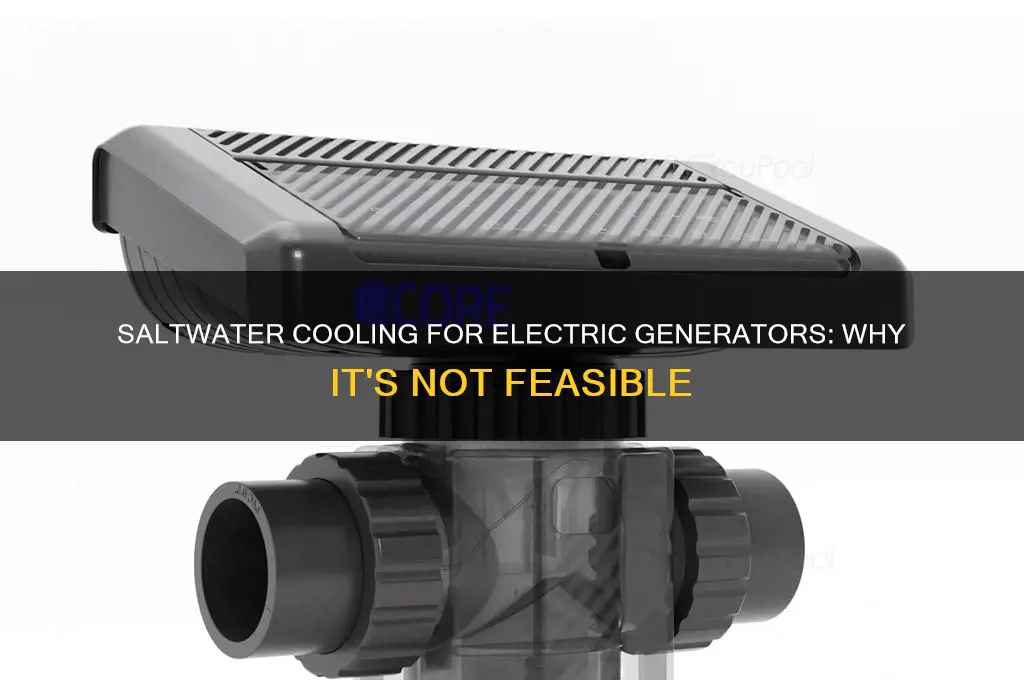 why cant we use salt water to cool electric generators