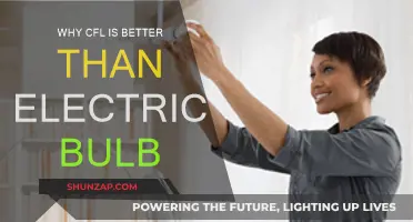 CFLs Outshine Electric Bulbs: Energy Efficiency, Longer Lifespan