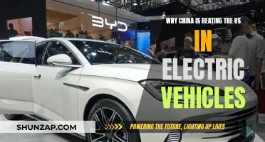 China's Electric Vehicle Revolution: Beating the US