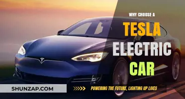 Why Tesla Electric Cars Are the Future of Driving