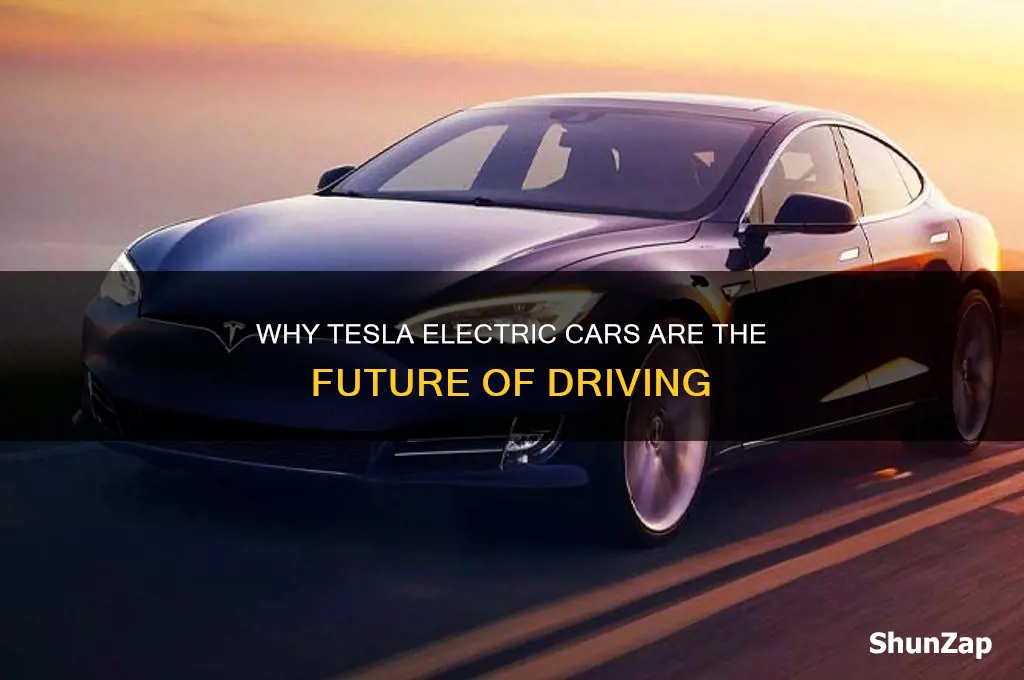 why choose a tesla electric car